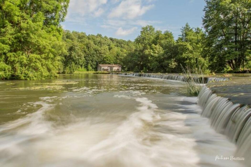 Chateau Des Loups - Les Cedres Bleus Echire Екстер'єр фото